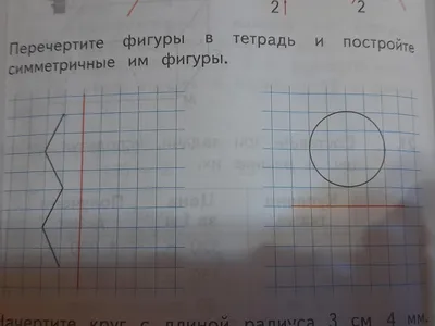 Перечертите фигуры в тетрадь и постройте симметричные им фигуры - Школьные  Знания.com