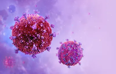 ВИЧ - вирус иммунодефицита человека: что такое, симптомы, пути заражения,  диагностика, лечение