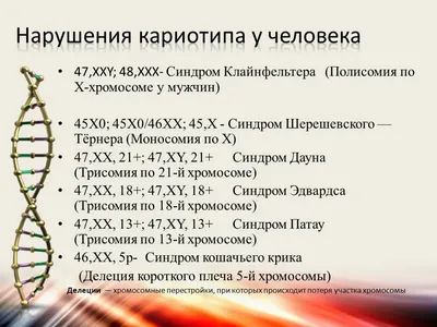 Высокий риск по НИПТ на Т18 Эдвардса не подтвердился по амнио — 16 ответов  | форум Babyblog