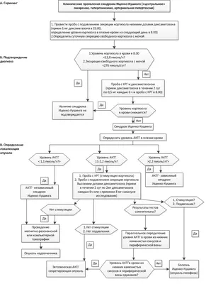 Синдром Иценко-Кушинга - причины появления, симптомы заболевания,  диагностика и способы лечения