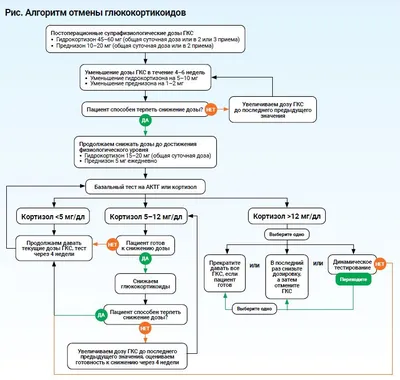 Иммуногистохимическое исследование экспрессии аберрантных/эутопических  рецепторов у пациентов с макронодулярной гиперплазией надпочечников | Шевэ  | Проблемы Эндокринологии