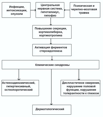 Болезнь (синдром) Кушинга: причины, симптомы, лечение, последствия |  InvaNews