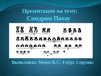 Мы хотим, чтобы дети гуляли, гладили лошадь и улыбались» | Такие Дела