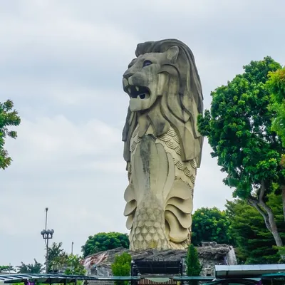 Свадьба в Сингапуре: фотосессия в садах Gardens by the Bay