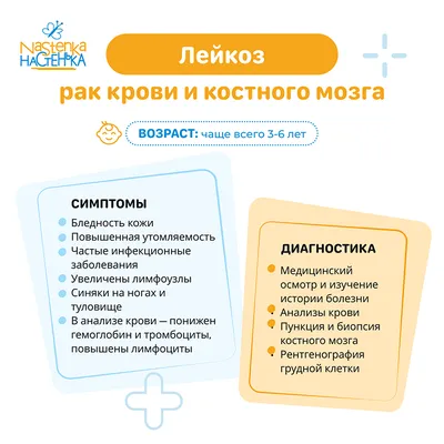 Что такое лейкоз (лейкемия): кто в зоне риска и какие признаки рака крови -  14 декабря 2020 - НГС