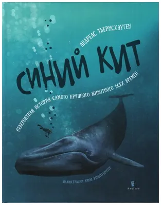 Книга Синий кит – купить в Москве, цены в интернет-магазинах на Мегамаркет