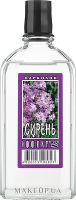 Сирень венгерская ✓ купить саженцы в питомнике в Москве, Туле, Белгороде