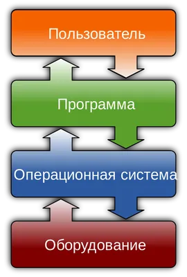 Иммунная система — это армия