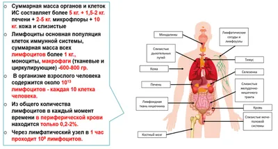 Файловая система — Википедия