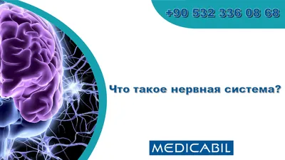 Правительство внесло изменения в положение о цифровой платформе  «Национальная система пространственных данных» | Digital Russia