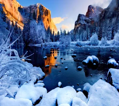 Обои Природа Зима, обои для рабочего стола, фотографии природа, зима, лес,  снег Обои для рабочего стола, скачать обои картинки заставки на рабочий  стол.