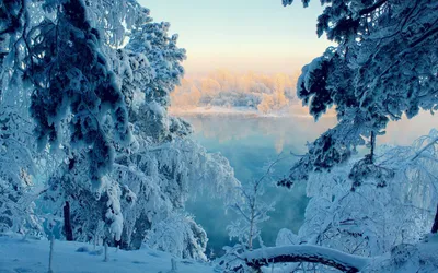 Обои Природа Зима, обои для рабочего стола, фотографии природа, зима, снег,  лес Обои для рабочего стола, скачать обои картинки заставки на рабочий стол.