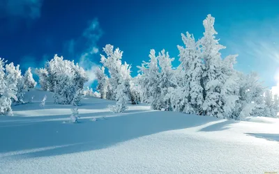 Скачать обои зима, солнце, снег, горы, солнечные лучи на рабочий стол из  раздела картинок Обои на телефон