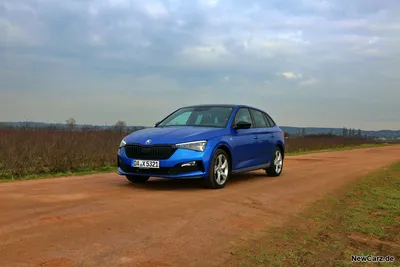 Skoda Scala Monte Carlo – Geheimtipp aus Böhmen - NewCarz.de