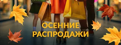 Скидка 20% на все!