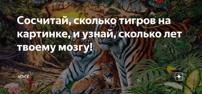 Сколько здесь тигров? | Удоба - бесплатный конструктор образовательных  ресурсов