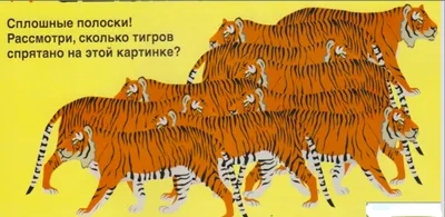 Сколько тигров на картинке? Настоящее испытание на внимательность |  Офигенно | Дзен