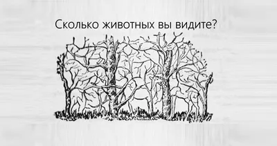 Тест на внимательность: сколько животных вы видите на этой картинке?