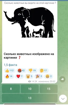 11 загадок, которые позволят проверить вашу внимательность и расскажут о  скрытых чертах характера / AdMe