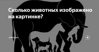 Внимание загадка! Сколько животных изображено на картинке ❓ | Юмор | Мистер  Х., 09 апреля 2022