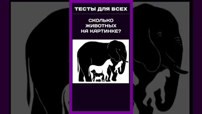 Раскраски с примерами на умножение, посчитай сколько животных на картинке