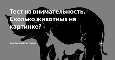 Сколько животных вы видите на картинке?