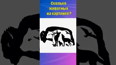 Найди и покажи. В мире животных - купить книгу Найди и покажи. В мире  животных в Минске — Издательство CLEVER на OZ.by