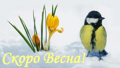 Скоро... уже скоро Весна (Елена Гурова 2) / Проза.ру