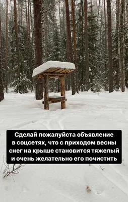 Скоро Весна, , Нэтси – скачать книгу бесплатно fb2, epub, pdf на ЛитРес