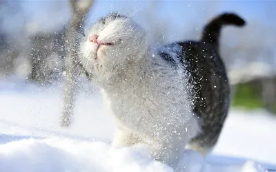 Скоро Зима...❄ Вподобай Соломія Українець - Соломія Українець | Facebook