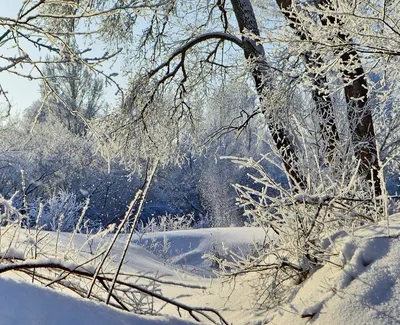 ☃️Скоро ЗИМА-ждем ❄СНЕГ❄ | Зима, Скоро зима, Дед мороз