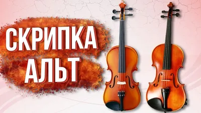 Королева оркестра – скрипка (Особенности, как выбрать) 🎸 Читайте в блоге  магазина музыкальных инструментов In-Jazz