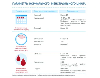 Менструация — Википедия