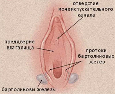 Сквирт от члена фото - FotoSbor.com