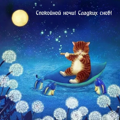 Маленькие сказки для сладких снов – Книжный интернет-магазин Kniga.lv  Polaris