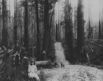 Слендермен, русалка и другие: страшные фотографии, которым нашлось  рациональное объяснение | VOICE | Дзен