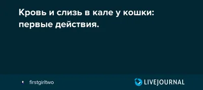 kol-rak-3 — СПб ГБУЗ \"Городская Поликлиника 51\"