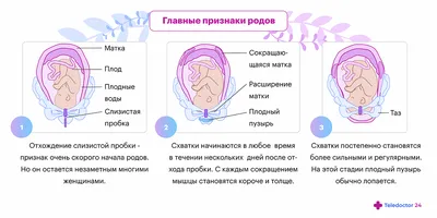 Пробки\" в миндалинах. Что делать?