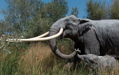 Фигурка слон из дерева купить в интернет магазине в Москве