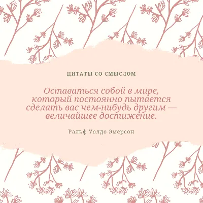 3,500 отметок «Нравится», 20 комментариев — Красивые слова со смыслом  (@slova_so_smysl0m) в Instagram: «Резервн… | Семейные цитаты, Позитивные  цитаты, Мудрые цитаты