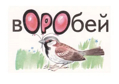 Запоминаем словарные слова и правила. Для начальной школы, Анна Круглова –  скачать pdf на ЛитРес