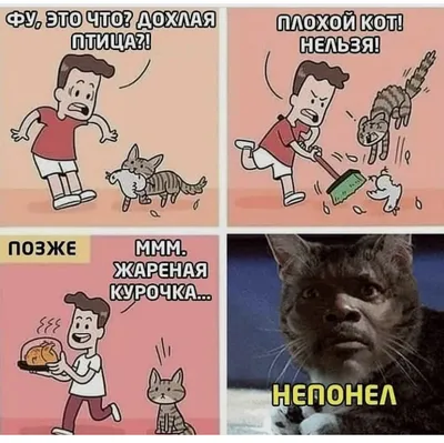 😸Смешные имена для кошек: улыбнитесь и возьмите на заметку | Нос, хвост,  лапы | Дзен