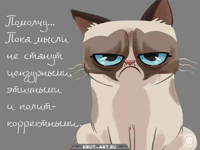 Смешные картинки для взрослых » uCrazy.ru - Источник Хорошего Настроения