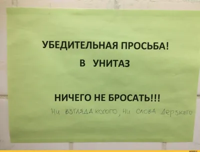 Декоративная табличка на дверь - Туалет, место для просмотра 30х13 см, 13  см, 30 см - купить в интернет-магазине OZON по выгодной цене (904595625)