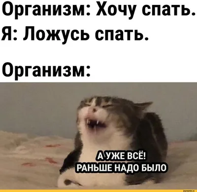 Что я делаю со ттшлт Ежедневная рутина... работа, учёба, сериалы,  интернет... Я каждый день на / мысли :: сон / смешные картинки и другие  приколы: комиксы, гиф анимация, видео, лучший интеллектуальный юмор.