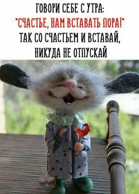 Смешные приколы до слез