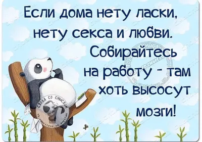 Как избежать стресса на работе: / котэ картинки :: картинки с надписями /  смешные картинки и другие приколы: комиксы, гиф анимация, видео, лучший  интеллектуальный юмор.