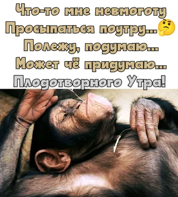 https://dzen.ru/a/YEByUg6jrl1M7SeZ