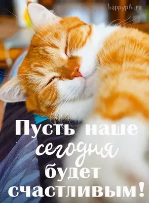 С добрым утром!#видеооткрытка #открыткасдобрымутром#открытка #рекоменд... |  TikTok