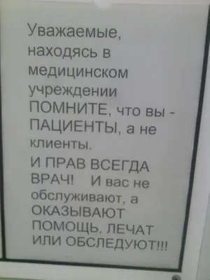 Прикольные надписи на бенто-торт по разным поводам